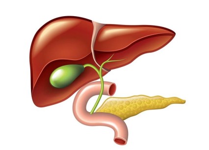 Safra Kesesi Alındıktan Sonra Kilo Kaybı