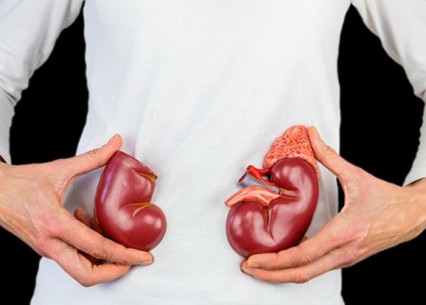 Böbrek Hastalıklarında Beslenme