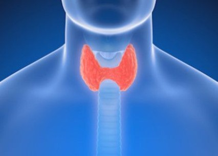 Tiroit Hastalıklarında Beslenme
